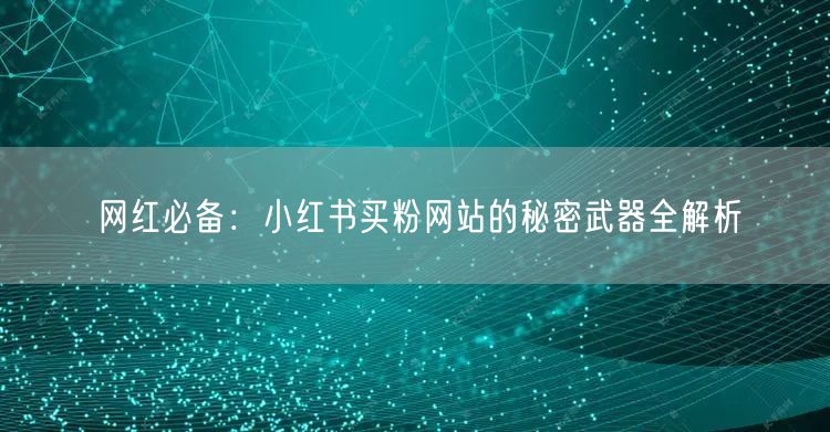 网红必备：小红书买粉网站的秘密武器全解析
