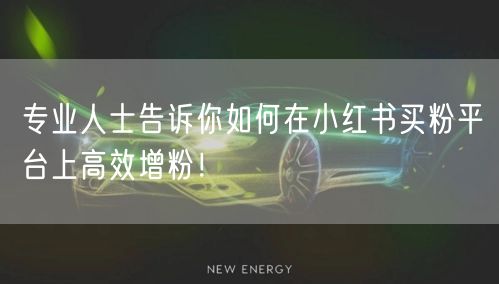 专业人士告诉你如何在小红书买粉平台上高效增粉！