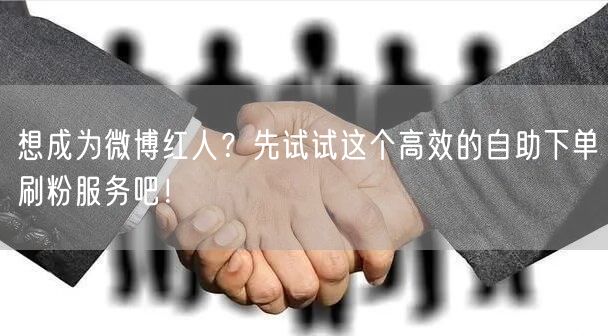 想成为微博红人?先试试这个高效的自助下单刷粉服务吧!