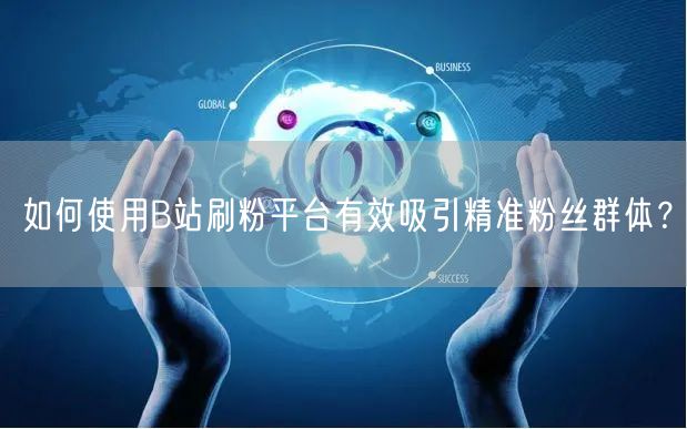 如何使用B站刷粉平台有效吸引精准粉丝群体？