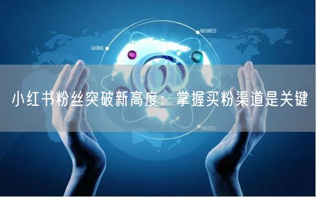 小红书粉丝突破新高度：掌握买粉渠道是关键