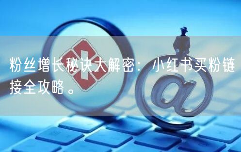 粉丝增长秘诀大解密：小红书买粉链接全攻略。