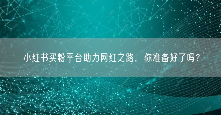 小红书买粉平台助力网红之路，你准备好了吗？