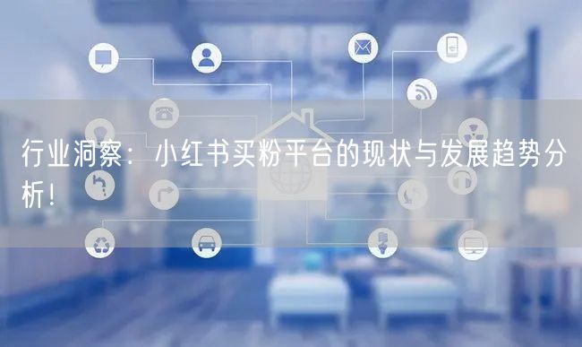 行业洞察：小红书买粉平台的现状与发展趋势分析！