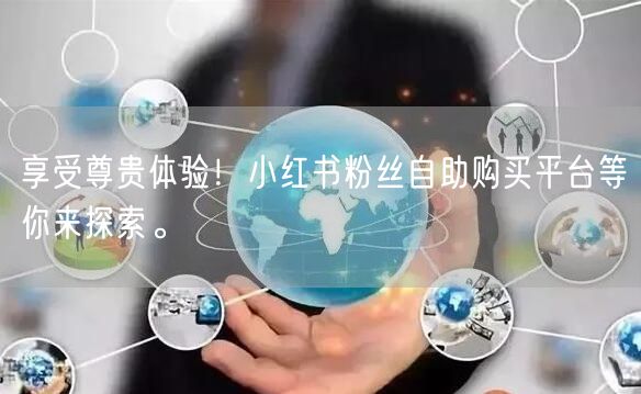 享受尊贵体验!小红书粉丝自助购买平台等你来探索。