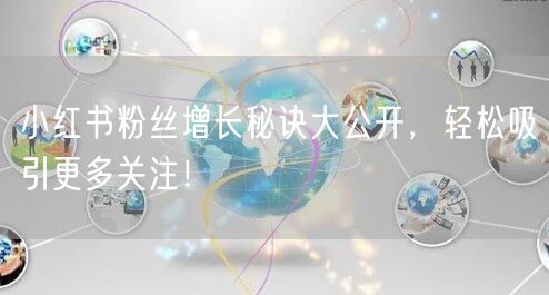 小红书粉丝增长秘诀大公开,轻松吸引更多关注!