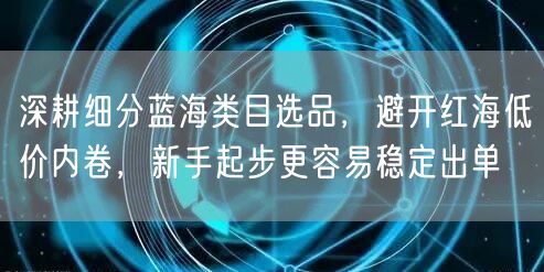 深耕细分蓝海类目选品，避开红海低价内卷，新手起步更容易稳定出单