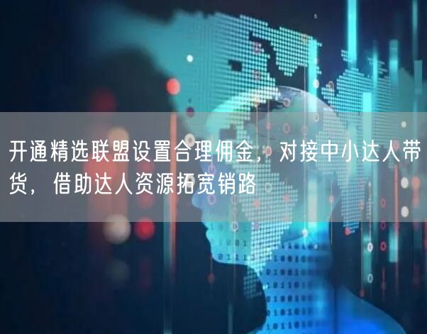 开通精选联盟设置合理佣金，对接中小达人带货，借助达人资源拓宽销路