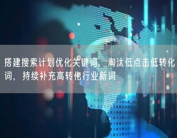 搭建搜索计划优化关键词，淘汰低点击低转化词，持续补充高转化行业新词