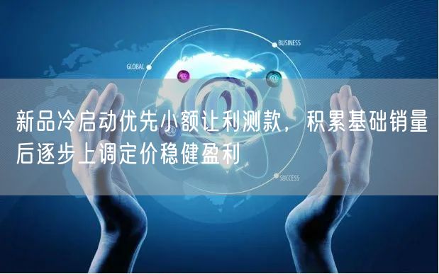 新品冷启动优先小额让利测款，积累基础销量后逐步上调定价稳健盈利