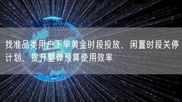 找准品类用户下单黄金时段投放，闲置时段关停计划，提升整体预算使用效率