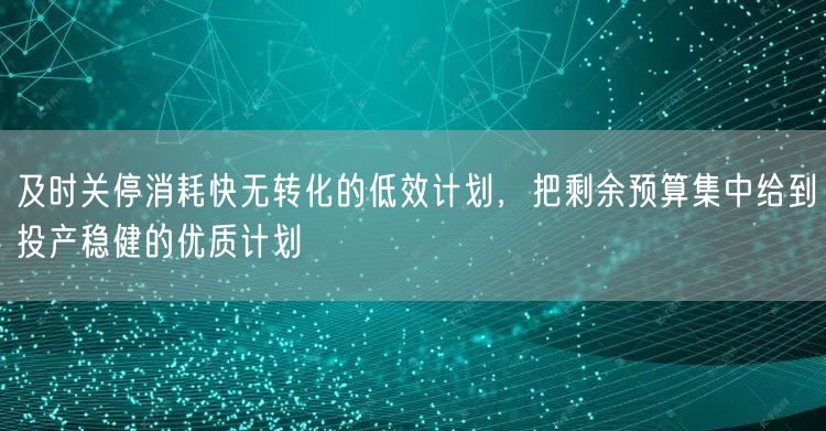 及时关停消耗快无转化的低效计划，把剩余预算集中给到投产稳健的优质计划