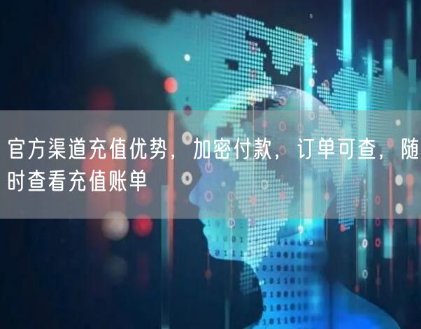 官方渠道充值优势，加密付款，订单可查，随时查看充值账单