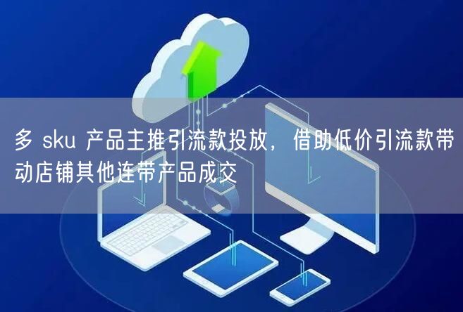 多 sku 产品主推引流款投放，借助低价引流款带动店铺其他连带产品成交