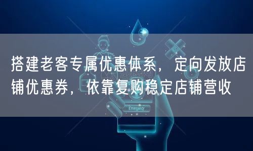 搭建老客专属优惠体系，定向发放店铺优惠券，依靠复购稳定店铺营收