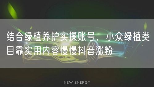 结合绿植养护实操账号，小众绿植类目靠实用内容慢慢抖音涨粉