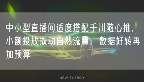 中小型直播间适度搭配千川随心推，小额投放撬动自然流量，数据好转再加预算