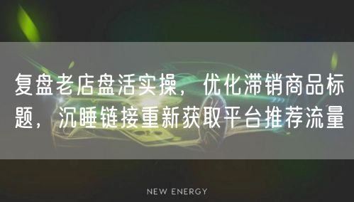 复盘老店盘活实操，优化滞销商品标题，沉睡链接重新获取平台推荐流量