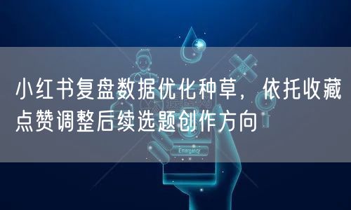小红书复盘数据优化种草，依托收藏点赞调整后续选题创作方向