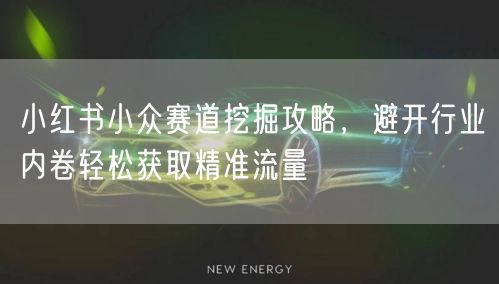 小红书小众赛道挖掘攻略，避开行业内卷轻松获取精准流量