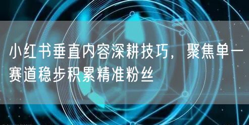 小红书垂直内容深耕技巧，聚焦单一赛道稳步积累精准粉丝