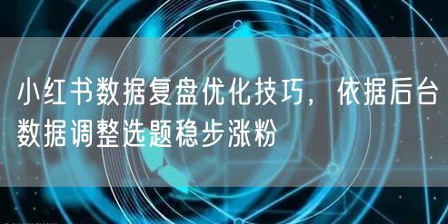 小红书数据复盘优化技巧，依据后台数据调整选题稳步涨粉