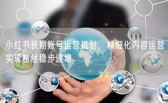 小红书长期账号运营规划，精细化内容运营实现粉丝稳步递增