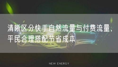 清晰区分快手自然流量与付费流量，平民合理搭配节省成本