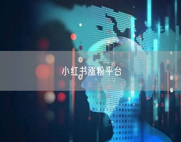 小红书涨粉平台