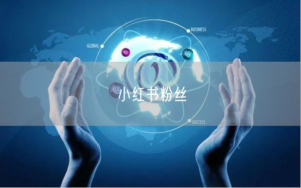 小红书粉丝