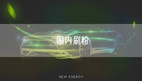 国内刷粉