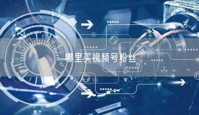哪里买视频号粉丝