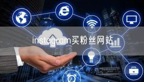 instagram买粉丝网站