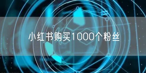 小红书购买1000个粉丝