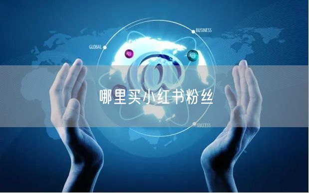 哪里买小红书粉丝