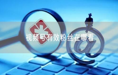 视频号有效粉丝在哪看